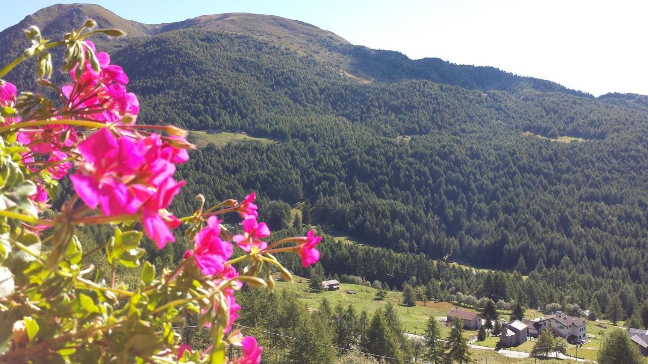 ホテル Belvedere Mountain Experience Monno エクステリア 写真
